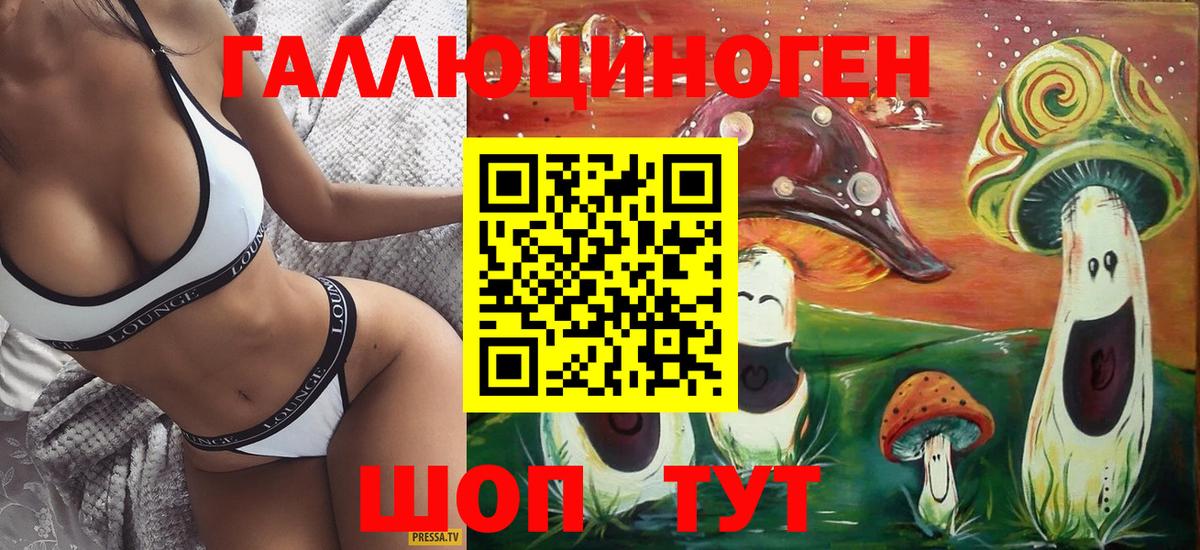 Псилоцибиновые грибы Psilocybine cubensis Белая Калитва